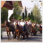 Egregyi szuret